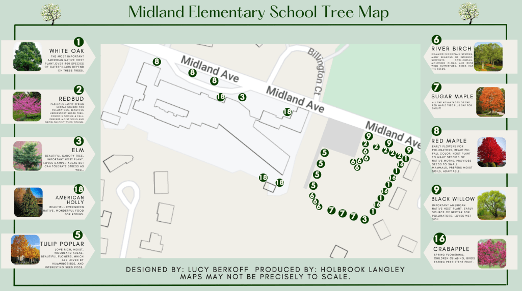 (PHOTO: Map shows where the various native trees were planted at Midland Elementary School as part of Spring for Rye. The two year project was delivered on May 20, 2025 and will last generations, serving students and pollinators.)