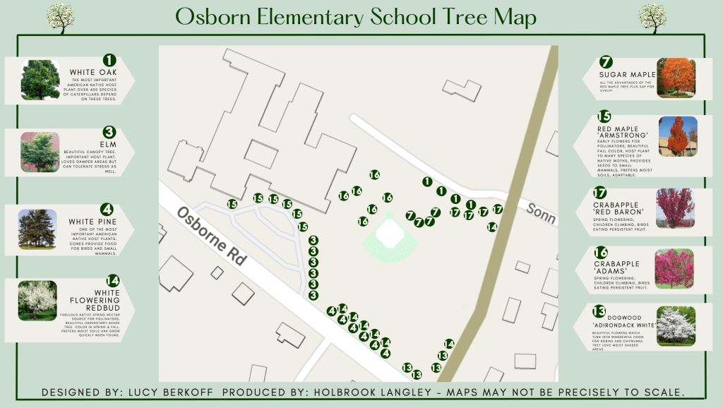 (PHOTO: Map shows where the various native trees were planted at Osborn Elementary School as part of Spring for Rye. The two year project was delivered on May 20, 2025 and will last generations, serving students and pollinators.)