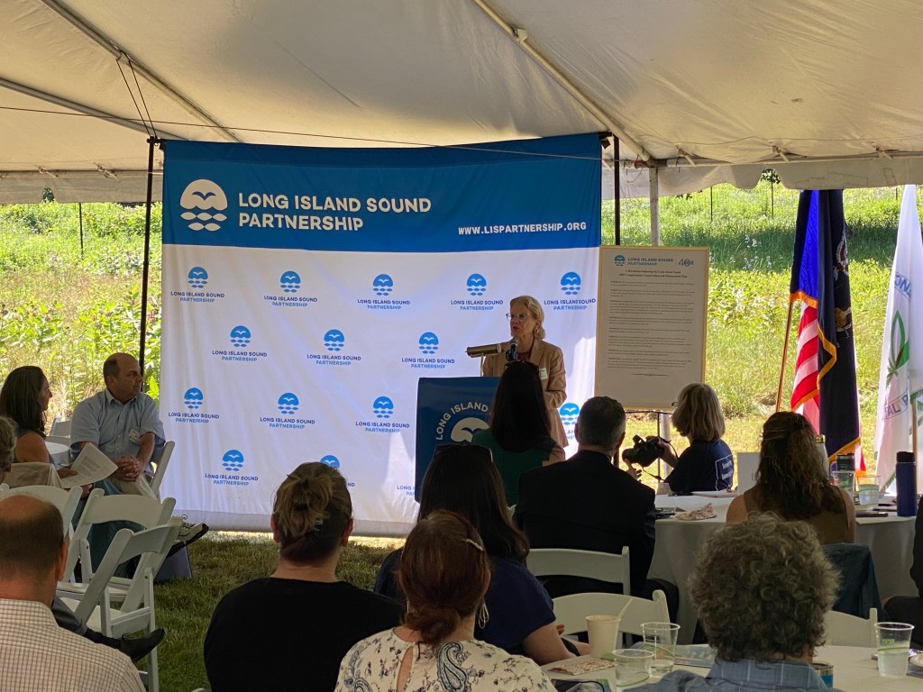 (PHOTO: State Senator Shelley Mayer speaking at the LISP event this morning. June 20th, 2025.)