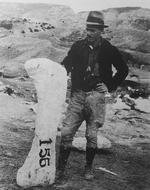 (PHOTO: Roland T. Bird at Howe Quarry in Wyoming in 1934. Source: Family of John H. Erikson..)