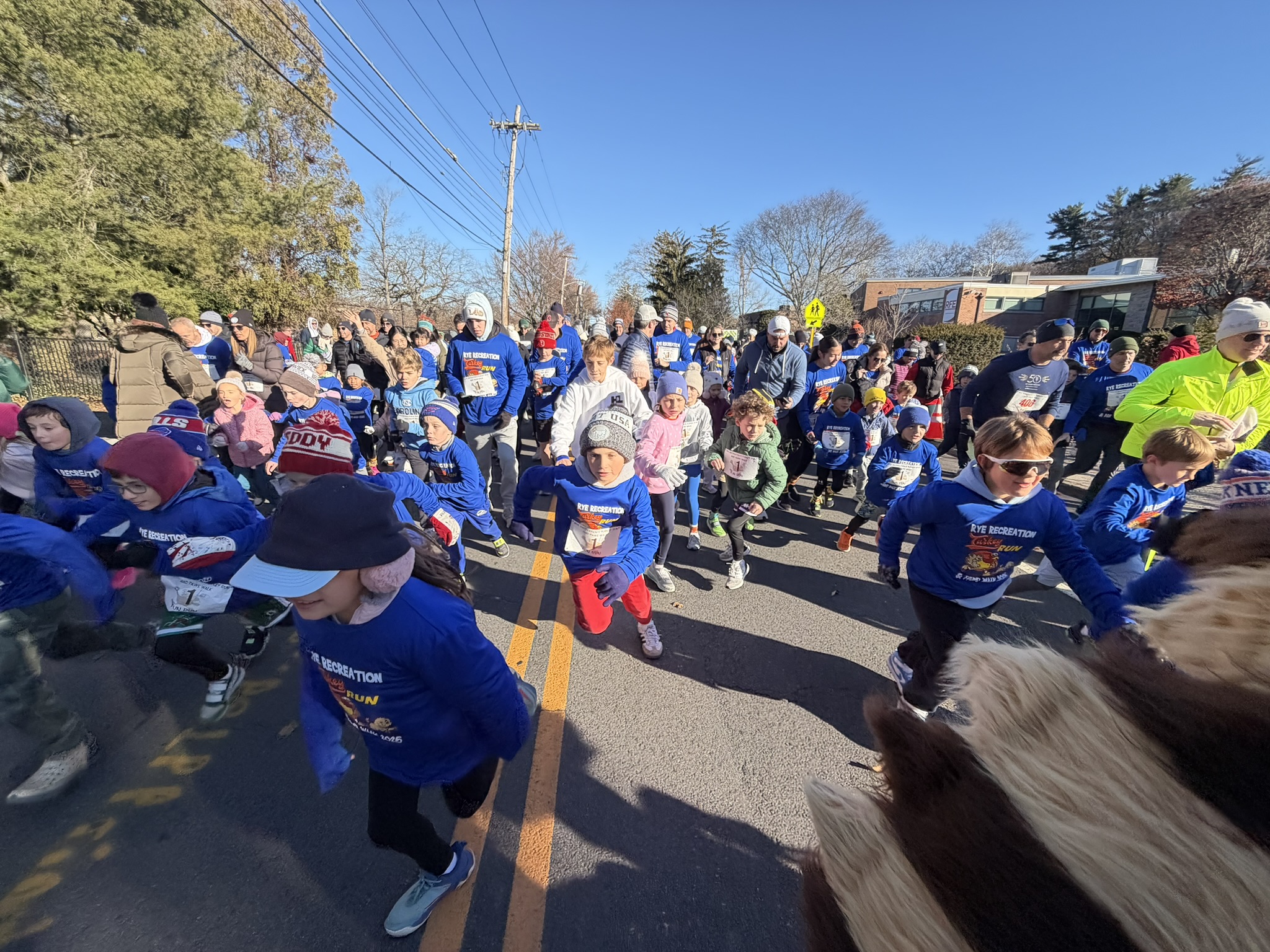(PHOTO: The 48th Annual Rye Turkey Run at Rye Recreation on Saturday, November 29, 2025.)