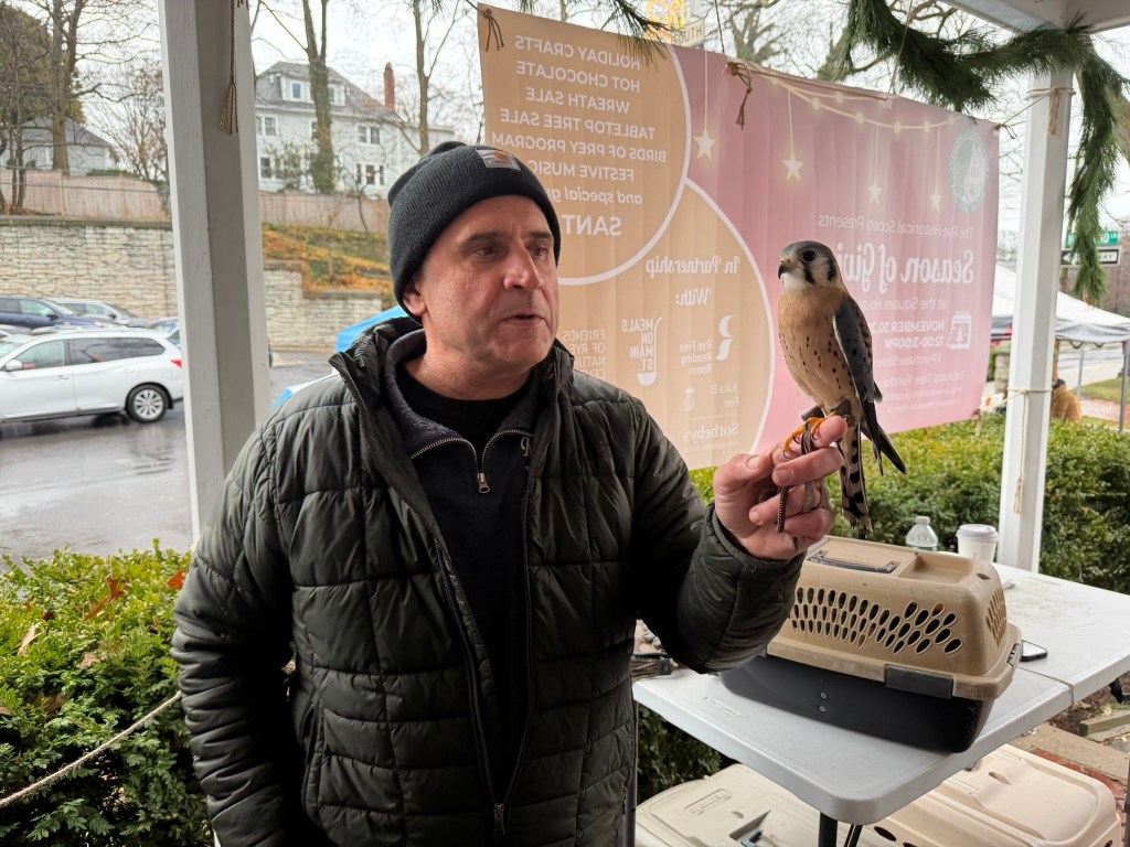 (PHOTO: The Season of Giving celebration at the Square House on November 30, 2025, organized by the Rye Historical Society. A Rye Nature Center rep showed off this American kestrel (Falco sparverius) .)