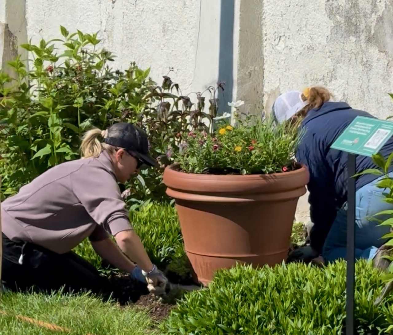(PHOTO: Volunteers of the Friends of Rye Town Park helping to plant and maintain garden beds and flower pots in Rye Town Park. Contributed.)
