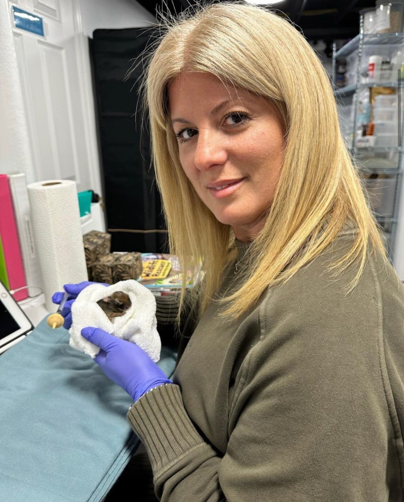 (PHOTO: Assistant Director and Rye resident Stephanie Gomez with a patient at Cottontail Cottage Wildlife Rehab. Contributed.)