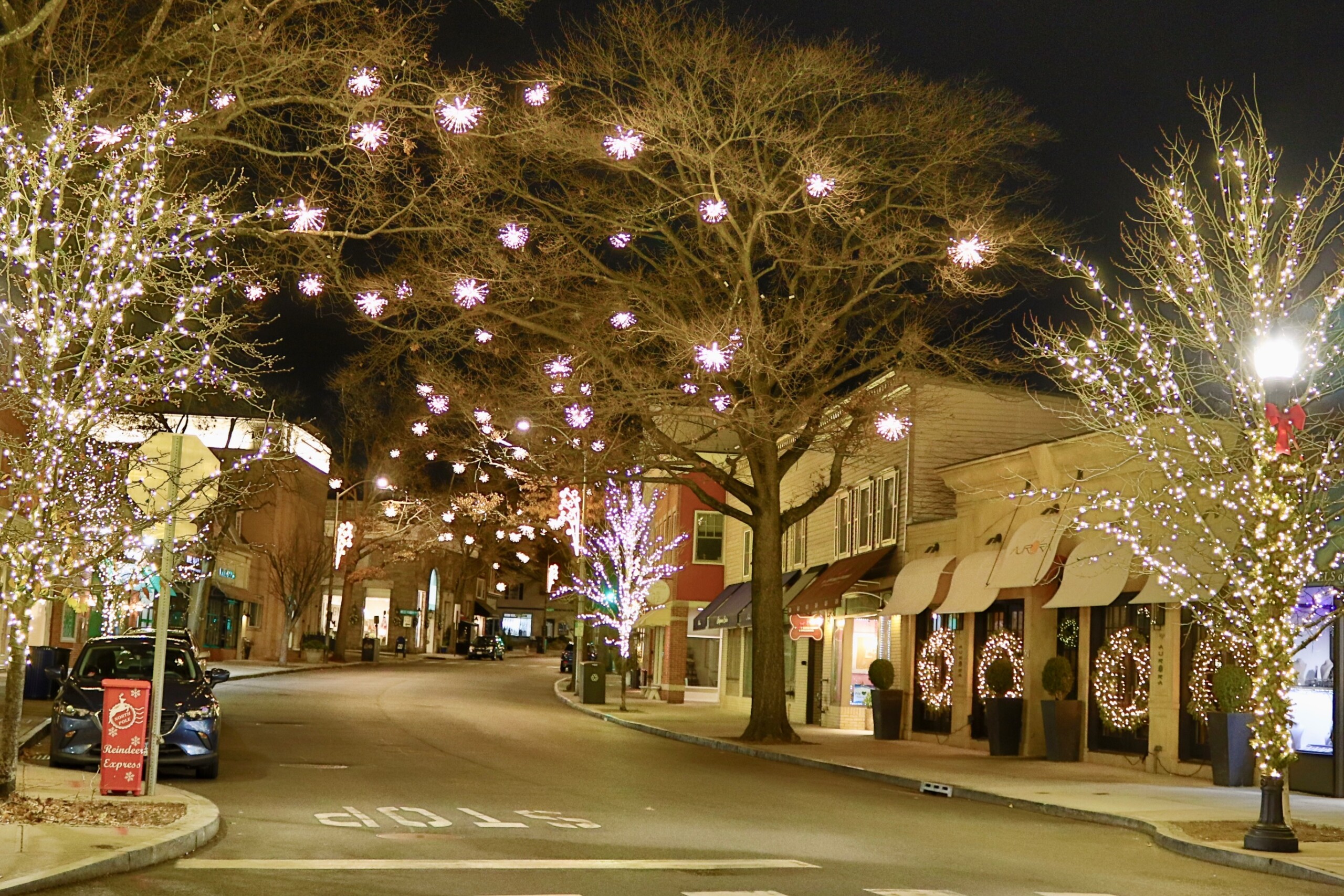 (PHOTO: Purchase Street lit up with festive lights by the Rye Foundation and Light Up Rye display. Contributed.)