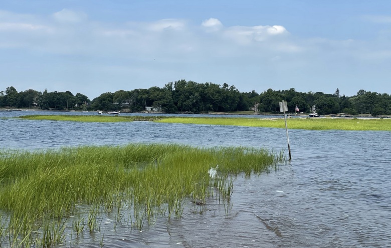 (PHOTO: The Hen Island Shoreline Adaptation Plan will focus on protecting and restoring an approximately 10-acre high marsh meadow – a portion of which is seen in this photo. Credit: Sara Powell.)