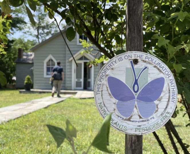 (PHOTO: The current status of the City of Rye's natural resources, including those on the Bird Homestead property seen above, will be assessed and compiled in a Natural Resources Inventory Report alongside recommendations and priorities for conservation and management. Credit: Sara Powell.)