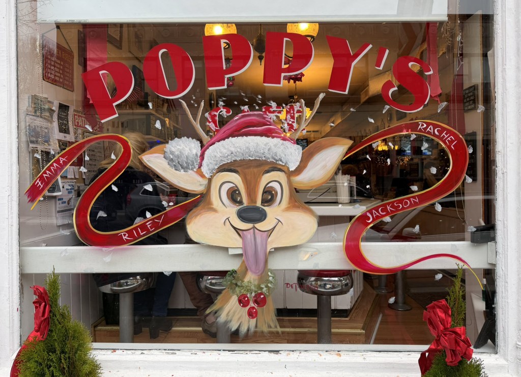 Poppy's Christmas window 2025 cropped