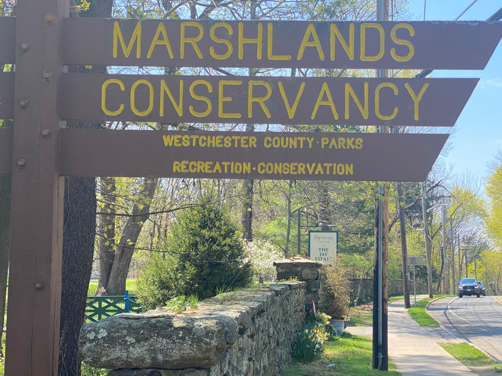 (PHOTO: The entrance to Marshlands Conservancy on the Boston Post Road in Rye. The Jay Heritage Center, seen in the background, is immediately to the west. File photo.).