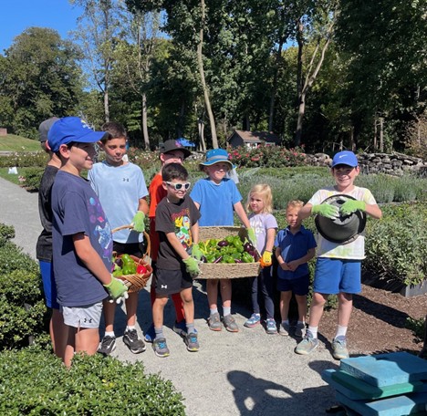 (PHOTO: Kids harvesting fresh vegetables from the Jay Heritage Center gardens to donate to Meals on Main Street. Contributed: Jay Heritage Center, Kim Crichlow.)