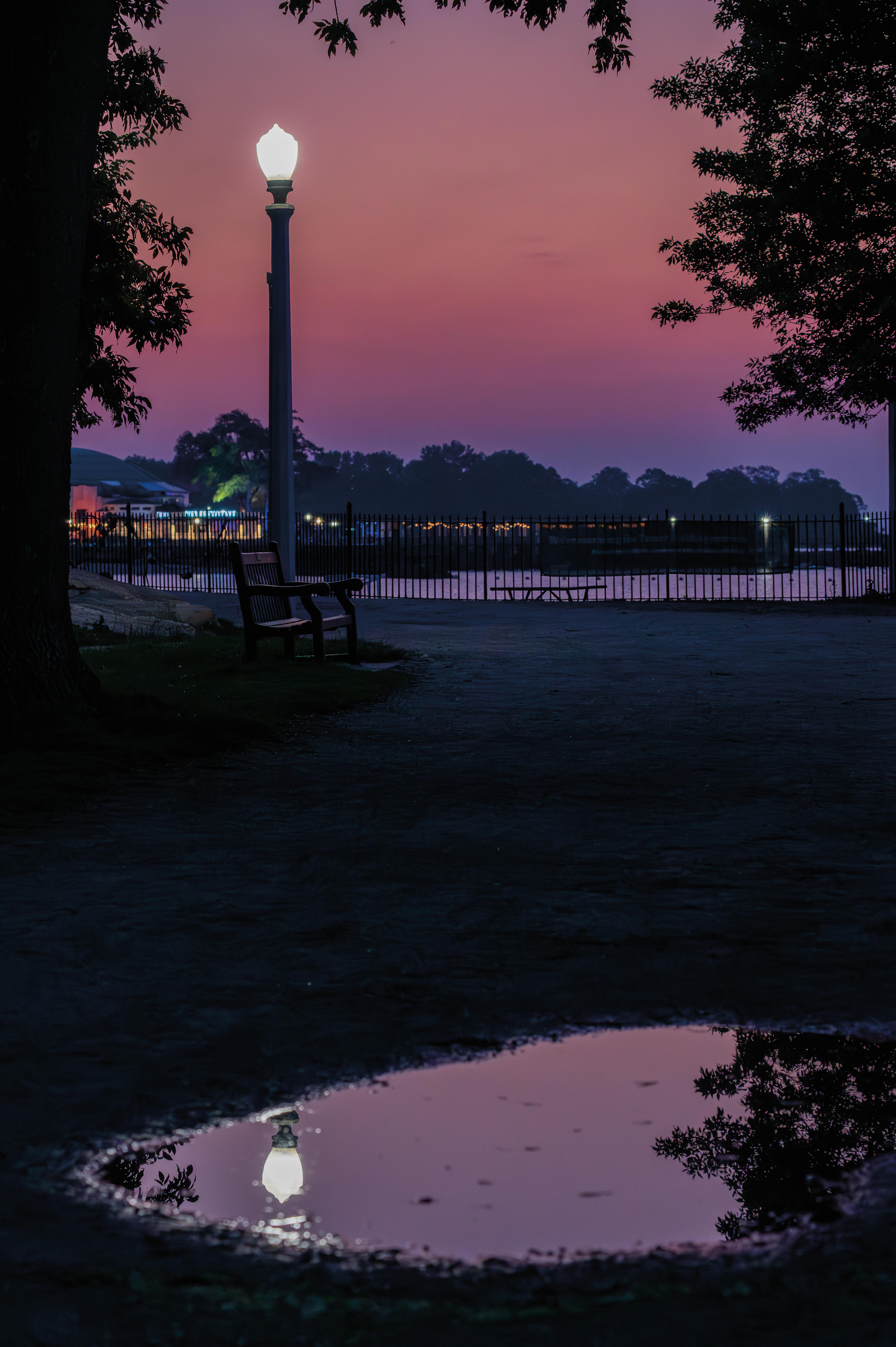 (PHOTO: Purple Lamp Post Reflection. The early morning illuminated by the vibrant sky and a lamp post at Rye Town Park. By Stacey Massey, author of First Light, Rye.)
