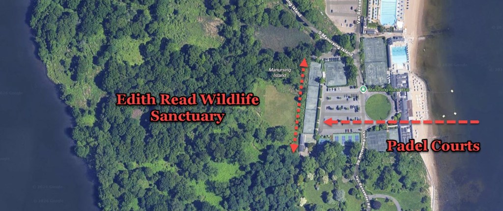 (PHOTO: The glass structure and the lighting related to the proposed padel courts at the Manursing Island Club represent potential threats to birds. The project is along the property line shared with the Edith Read Wildlife Sanctuary. The Sanctuary is an area recognized by the Audubon Society of New York as an Important Bird Area (IBA) because of its diverse habitats and significance as a migratory flyway. The Rye Planning Commission and the Conservation Commission Advisory Council (CC/AC) has asked the Manursing Island Club to make modifications to mitigate impacts to birds.)