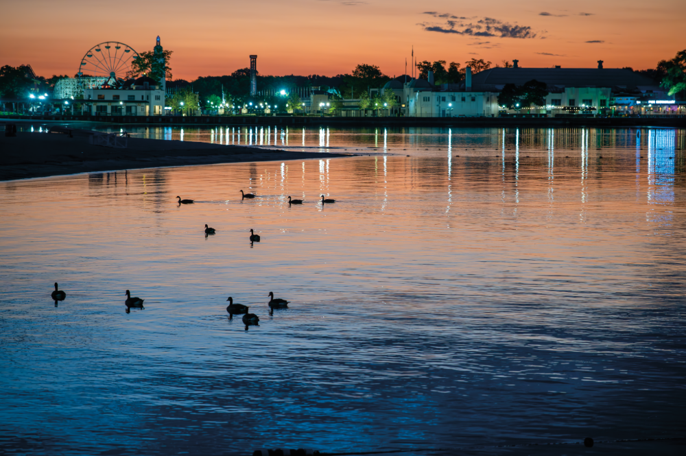 (PHOTO: Across the Water. A view of Playland from Rye Town Park. By Stacey Massey, author of First Light, Rye.)