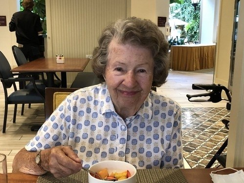 Obituary - Joyce Lenz VanBemmelen