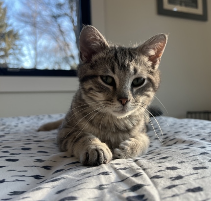 (PHOTO: Remy.)