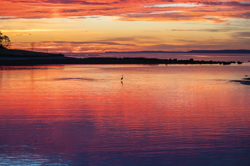 (PHOTO: Vibrant Vista. When the world turned for a few fleeting moments. By Stacey Massey, author of First Light, Rye.)