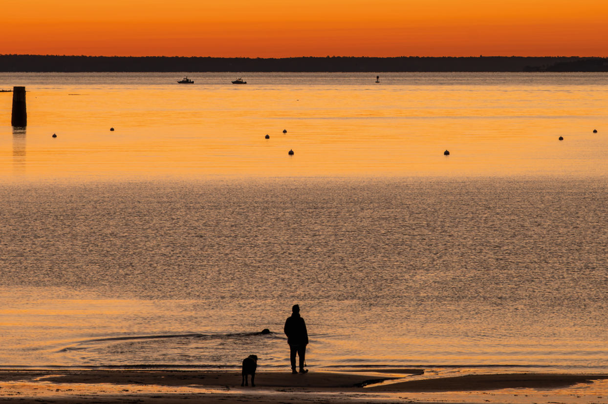 (PHOTO: Dog Days. The early dog catches the ball. By Stacey Massey, author of First Light, Rye.)