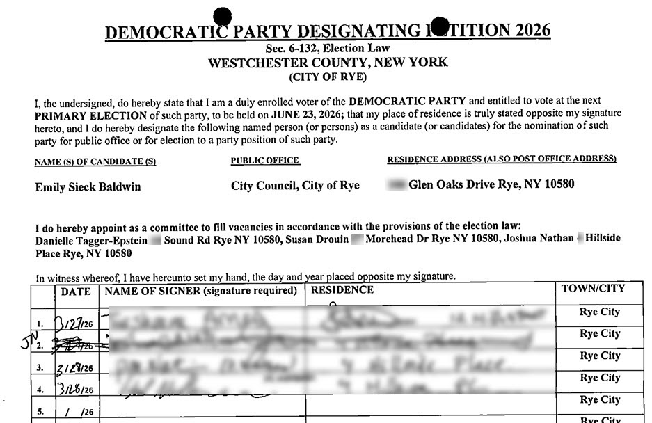 Democratic Party Designating Petition