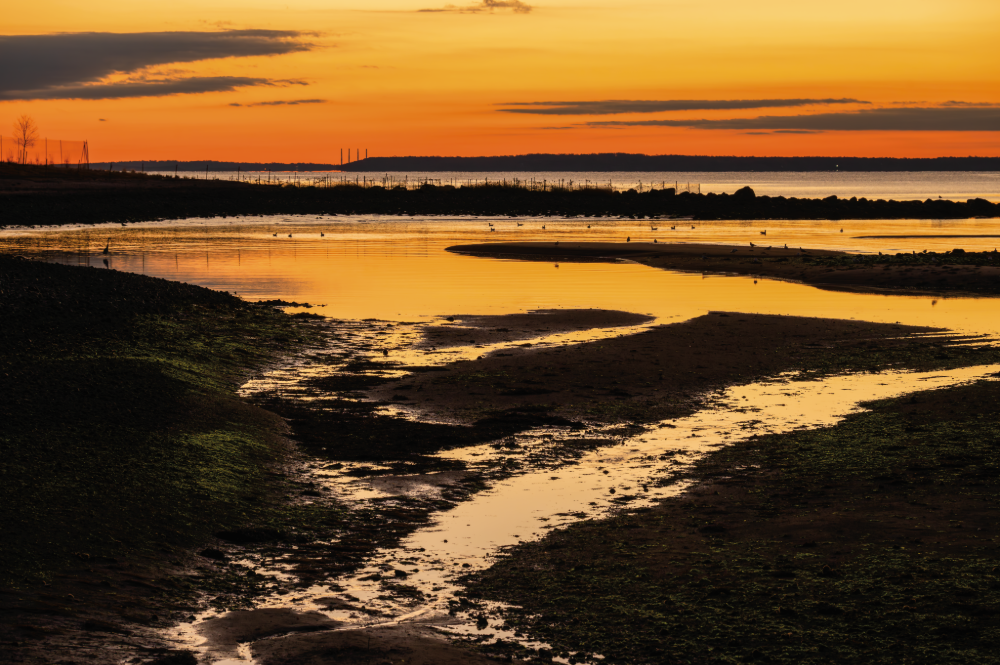 (PHOTO: Orange Light. Orange skies turn the tidal pools orange. By Stacey Massey, author of First Light, Rye.)