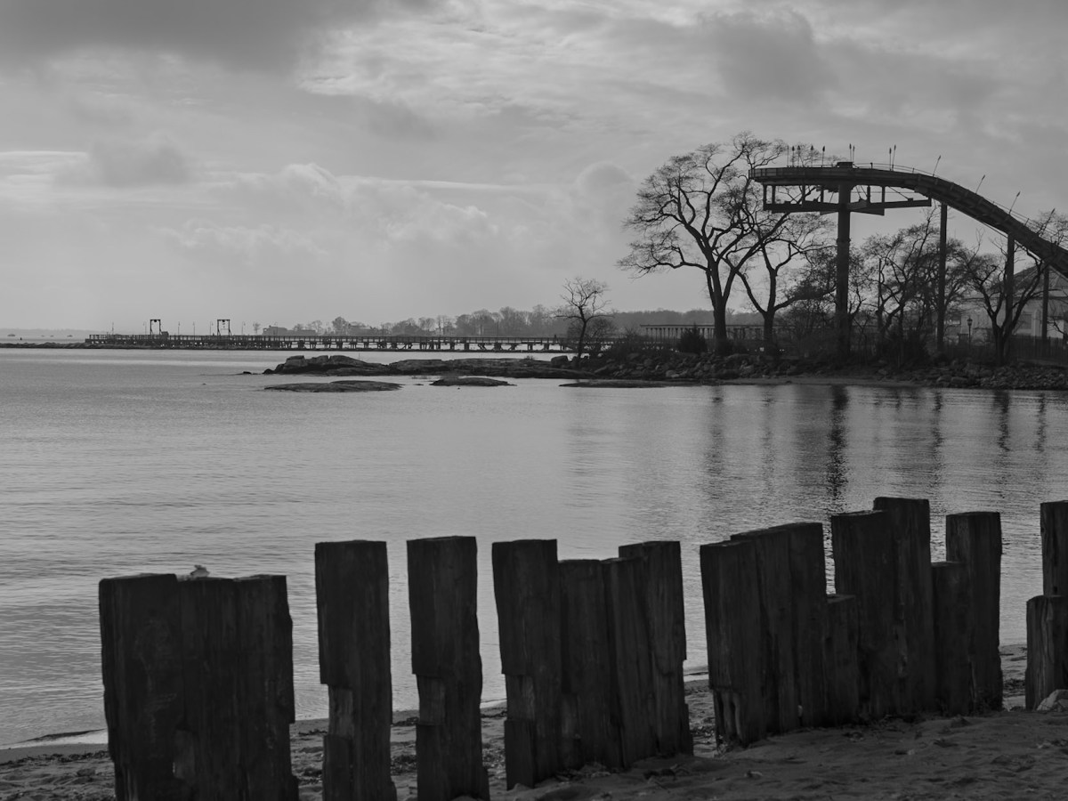 Art of Rye: Along the Shore