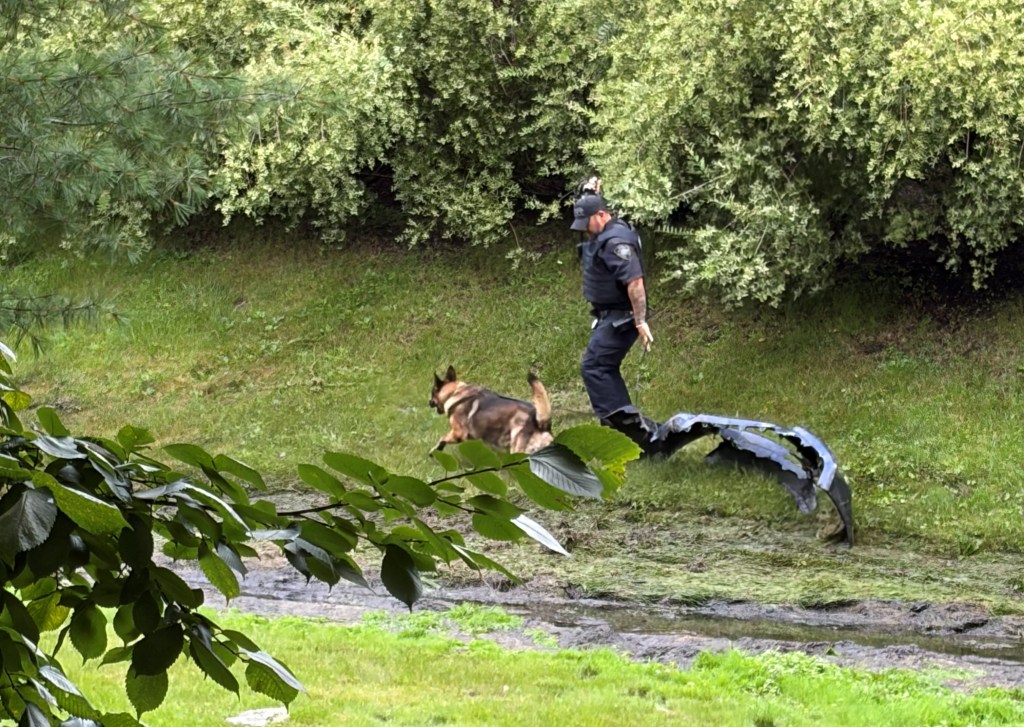 police scene
