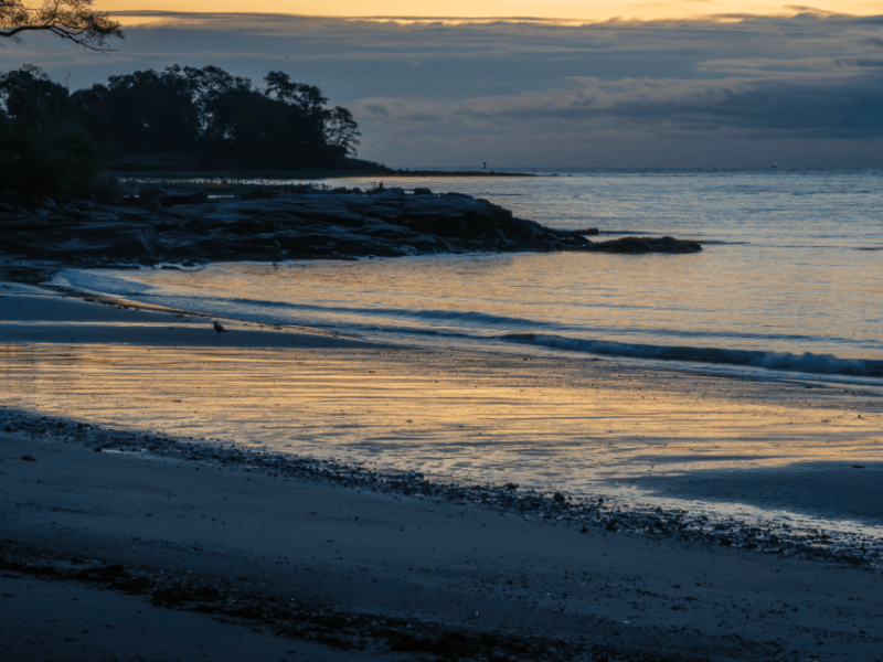 Art of Rye: Golden Tide