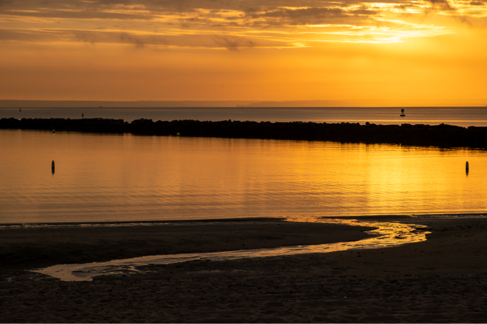 (PHOTO: Liquid Gold. The Long Island Sound shimmering in the fleeting morning light. By Stacey Massey, author of First Light, Rye.)