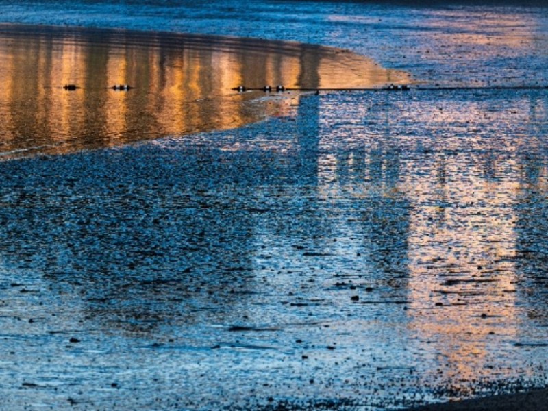 Art of Rye: Reflections of Playland