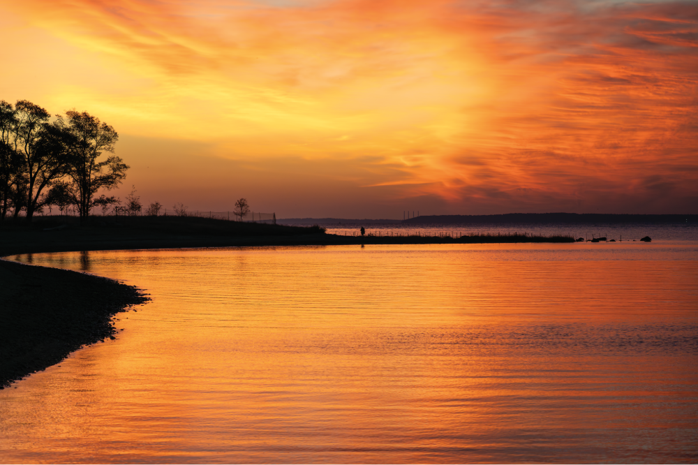 (PHOTO: Shared View. Another photographer meanders along the coast capturing the morning. By Stacey Massey, author of First Light, Rye.)