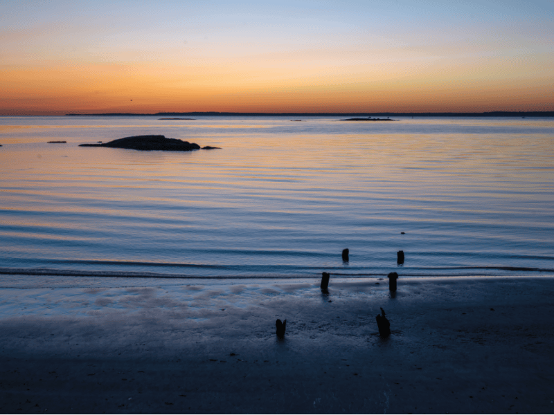 Art of Rye: Weathered Posts