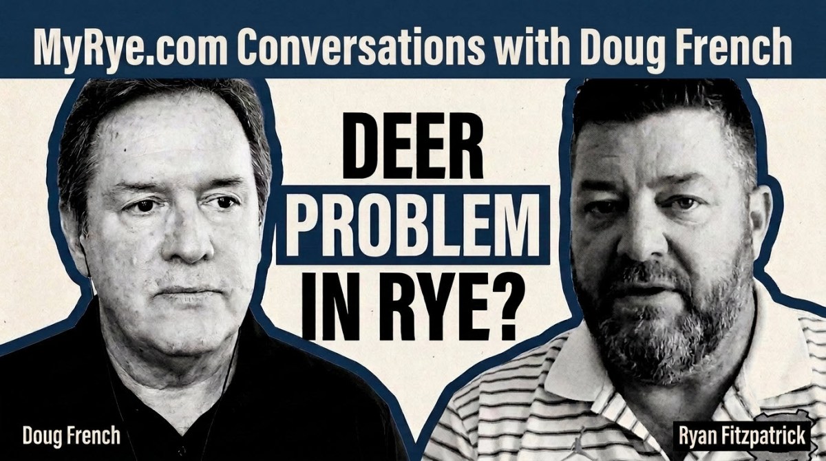 Podcast thumbnail image