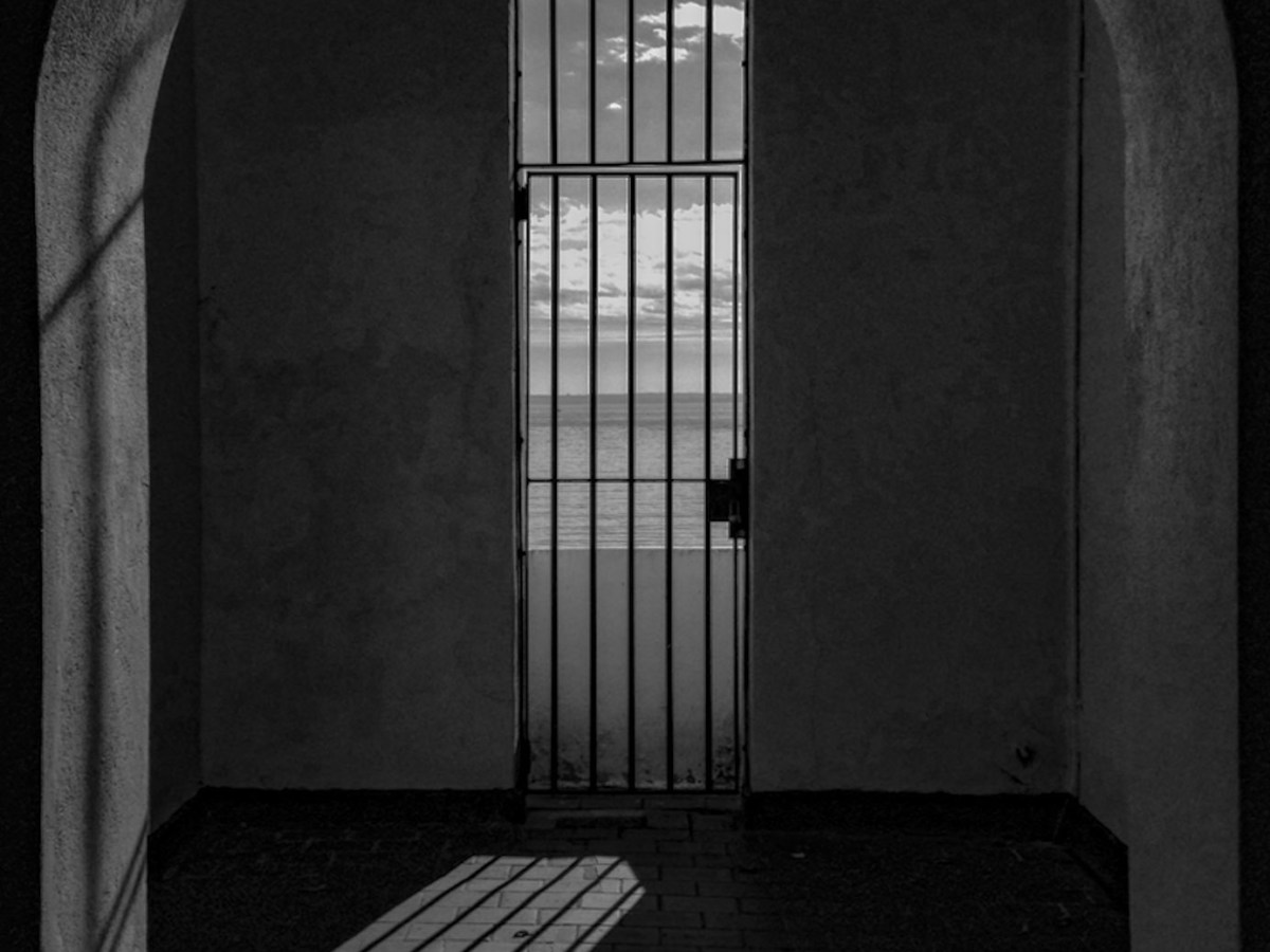 Art of Rye: The Light Beyond
